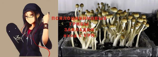 кокаин перу Белокуриха