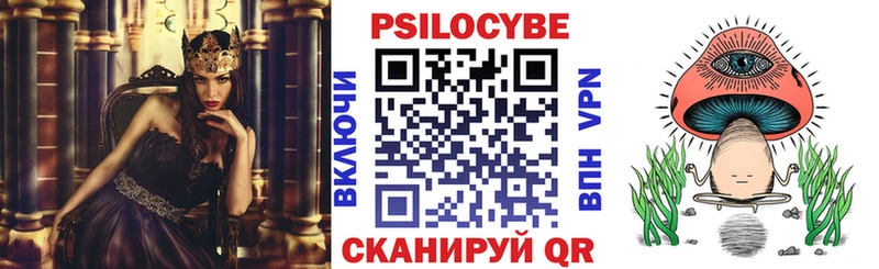Псилоцибиновые грибы MAGIC MUSHROOMS  закладка  Наволоки 